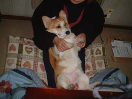 �������C����I�I