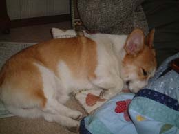 �������y�����������E�E