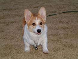 �X�^�X�^�X�^�E�E�E�E