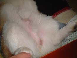 ����������Ƃ�����������