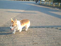 ������ƃo�e���݁E�E