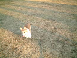 ����̑哾�ӁI�I