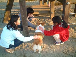 �����ƂȂłȂł��āI�I