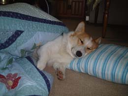 �������݂Ă�񂾁I