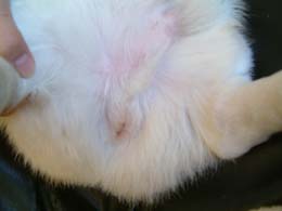 ������������悭�Ȃ�����I�I