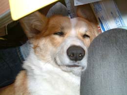 ���N����낵���ˁ`�`