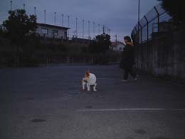 �u�܂āv����Ă��