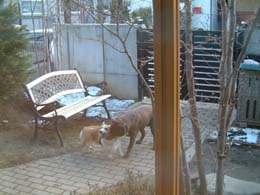 ���ǂ��Ȃ񂾂�