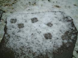 �l�̂������ƁE�E