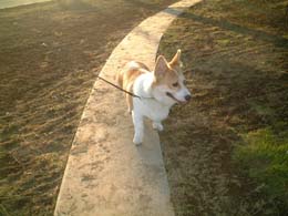 �~���Ă����ɂ������ˁB