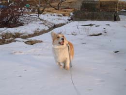 ��`�`���I�I���D���I�I