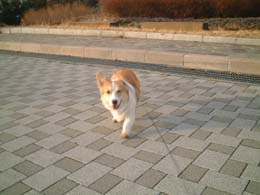 �u�����I�v�����܁`�`���I�I