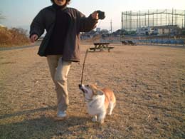 ���̃��[�h�ז��Ȃ񂾂�Ȃ�