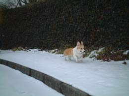 �܂��Ⴊ����B��������`