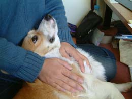 �W�B�`�`�`