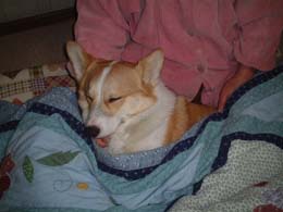 �R�z�b�E�E�E