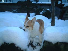 �s�����s�����I�I