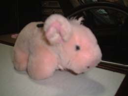 �V�������F�B�̃u�D�[�ł��B�����Ɩ��񂾂�B