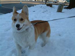 ��l���悧�`�`�I�I