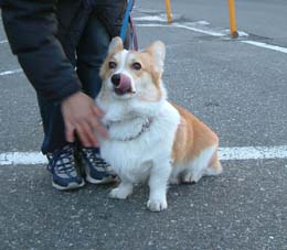 �����ւ�I�I