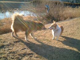 ���킟�I�I