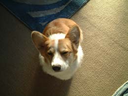 ���M���b�I�I