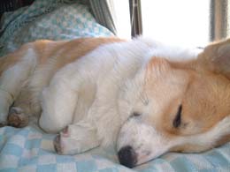 �����������`�`�`�I�I