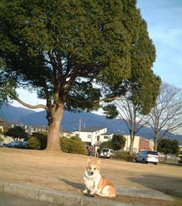 �ł������؁��