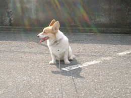 �t�݂����ȓ������̒��ŁI�I