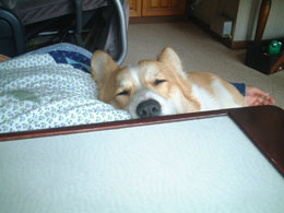 ���Q���E�E���������E�E�E�I