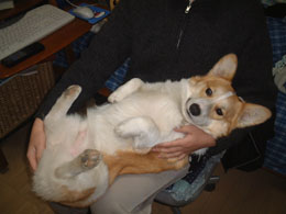 �o�g���y�������I�I