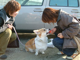 ���̒��A�����������̂���񂾂Ȃ��`�`�I�I