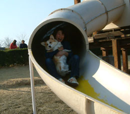 �E�w�����`�`�`