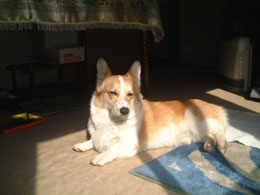 �z�b�I�ł��o�����ɕt�������̂���ς���E�E