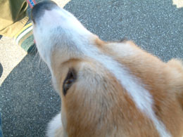 �t�o�I�I�I