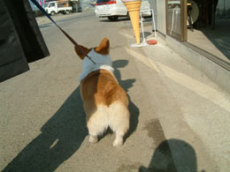 ��p���Ȃ��Ȃ��Ȗl�I�I