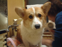 ����������Ă悧�`�`�I�I