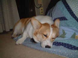 �⓹�����Ăւ�����炳�E�E�E�O�D�`�`�E�E�E�E�E