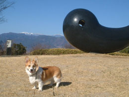 ���̍����́A���ʁi�܂����܁j���āA�����񂾂�I�I