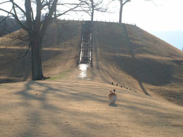 �O����~���̏ゾ��I�I