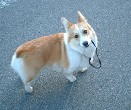 �Ђ��ς�������A����ς�D���I�I