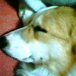 �ł��o�����A���x�͌g�юʐ^�����Ă邼�I�I�t����������Ȃ���E�E�E