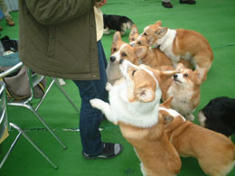 �����������̂ɂ́A���������I�I