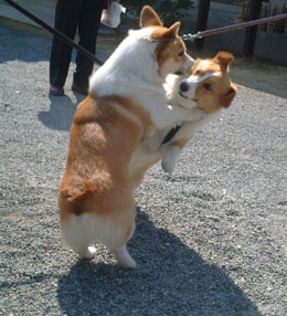 �܂��V�ڂ��ˁI�I