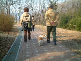 �݂�Ȃł��U���y����