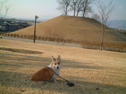 �͂��A�|�[�Y�͏��ɂȂ�����I�I