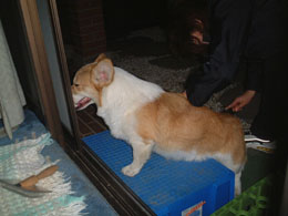 ���юo�����Ƃ̎U�������ꂵ����I�I