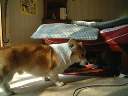 ����������