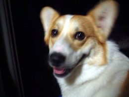 �ڂ��Ă܂��E�E