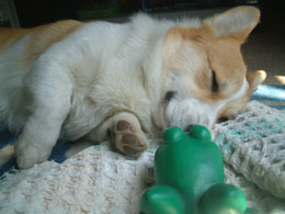 �����邳��Ƃ��b